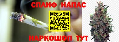 прущая мука Лесосибирск