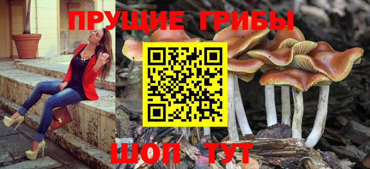 Тихорецк  Галлюциногенные грибы MAGIC MUSHROOMS  Вход с VPN 