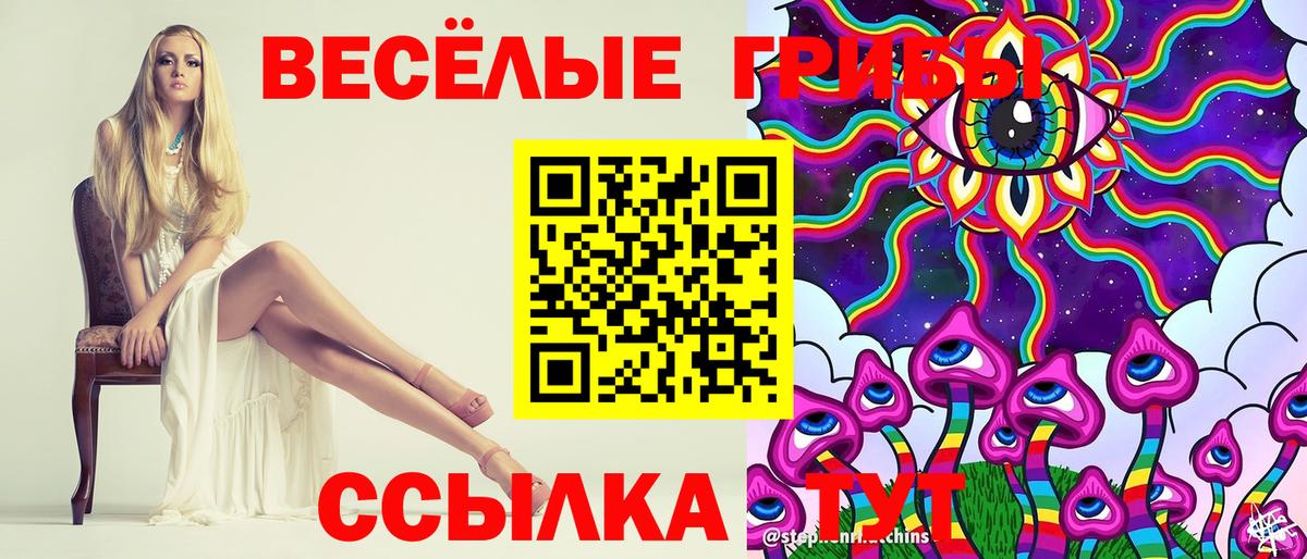 Псилоцибиновые грибы Cubensis Тихорецк